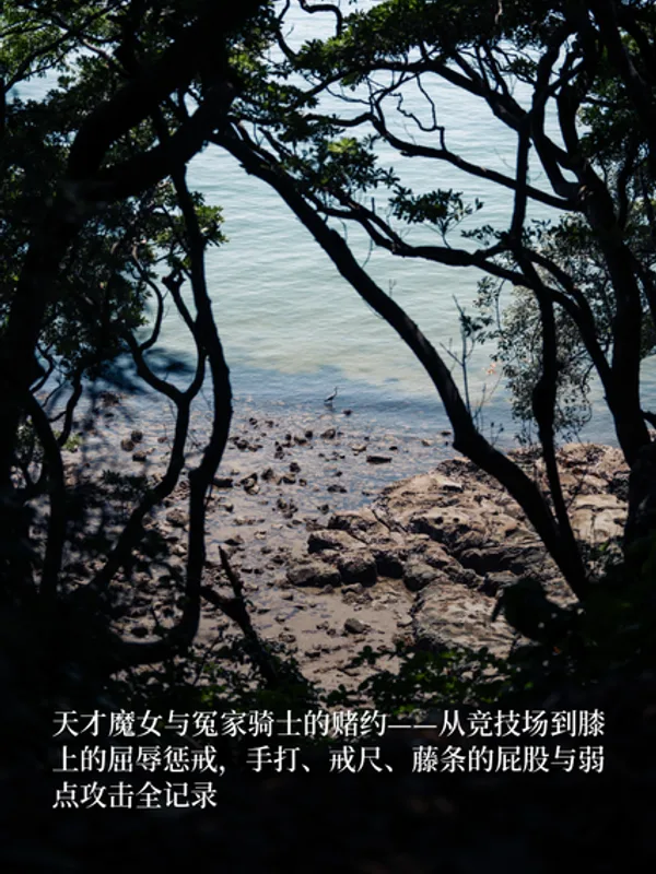 天才魔女与冤家骑士的赌约——从竞技场到膝上的屈辱惩戒,手打、戒尺、藤条的屁股与弱点攻击全记录