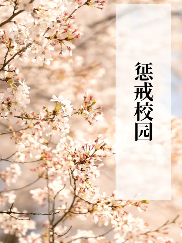 惩戒校园